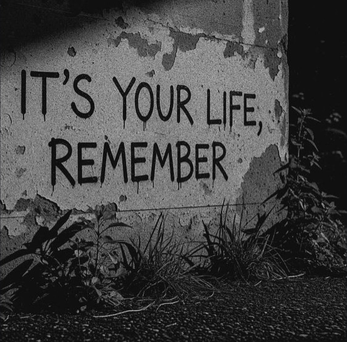 Mindset (@mindset101_) on Twitter photo 