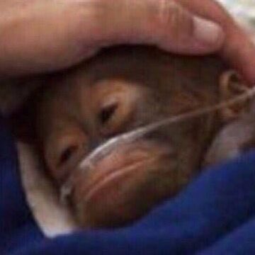 Le gambling c'est mal oubliez pas