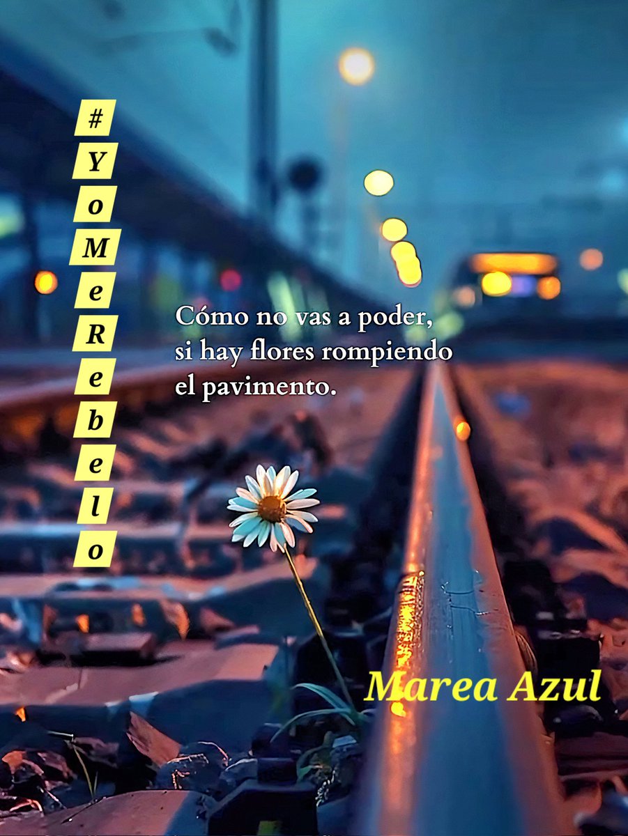 Iria🌸 (@iria_celta) on Twitter photo <a href="/Mari777Bel/">MARIBEL 🦋🦋☘️🦋🦋</a> <a href="/macasaga2/">M.Carmen 💛🤗🍀</a> <a href="/TalVez57/">Siempre</a> <a href="/Mariska__6/">Mariska 😎🤍🍀</a> <a href="/Marimar66842849/">Marimar</a> <a href="/slona6216/">Slona</a> <a href="/Justicia006/">Justicia</a> <a href="/KaladanBCN/">💦🌊💙⚖️💦🌊💙⚖️💦🌊💙⚖️</a> <a href="/PetroMareaAzul/">Petro Marea Azul 🦋🦋🦋🦋</a> <a href="/arancha2458/">Arancha</a> <a href="/tuneadora432/">Santa Paciencia</a> <a href="/sonajitaplatea/">sonajita</a> <a href="/campoy64160/">caballa 🌊💙💦</a> <a href="/Lanzar25/">Lanza</a> <a href="/2815_Estherly/">EsThe👠</a> <a href="/cutilla55/">m c</a> <a href="/elsa09164082/">elsa</a> <a href="/NT83631763/">N. T</a> <a href="/macasaga1/">MªCarmen 🫂⚖️🥰</a> <a href="/America6006/">America</a> <a href="/mychurry56699/">@MyChur👠y</a> <a href="/Girasol2031449/">Girasol</a> <a href="/AsomadaAlEspejo/">Espejo Azul</a> <a href="/MujerOasis/">Oasis</a> <a href="/Gloria26326305/">GLORIA 💙</a> <a href="/1528_elviri/">Elv I🎗️a</a> <a href="/Azucena412130/">Azucena</a> <a href="/Objetiva24/">Objetiva</a> <a href="/Rogelia50318250/">Rogelia</a> <a href="/FuerzaMareaAzul/">LaMareaNoSeRinde</a> <a href="/mmloopez/">Maribel Márquez López</a> <a href="/Azul_MAR0050/">A z U l M a R 💫⭐️💫</a> <a href="/JulietaSer66074/">Julieta Serrano</a> <a href="/AlexandraEsAzul/">Alexandra</a> <a href="/DylaneAzul/">Dylane</a> <a href="/Manolito0003/">Manolito</a> <a href="/PaulaOA03/">Paula</a> <a href="/AnaMemi29/">Any Marea Azul 💙💙💙🌊🌊🌊</a> <a href="/Luisa43833694/">EN💙CONTRA💦DE💙LAS💦INJUSTICIAS</a> <a href="/Lirio74056/">Lirio</a> <a href="/Hortensia380668/">Hortensia</a> #YoMeRebelo7A
#YoMeRebelo8A
El Karma no olvida, sólo espera el momento perfecto ⏳️
Marea Azul 🌊 <a href="/Mari777Bel/">MARIBEL 🦋🦋☘️🦋🦋</a> <a href="/macasaga2/">M.Carmen 💛🤗🍀</a> <a href="/TalVez57/">Siempre</a> <a href="/Mariska__6/">Mariska 😎🤍🍀</a> <a href="/Marimar66842849/">Marimar</a> <a href="/slona6216/">Slona</a> <a href="/Justicia006/">Justicia</a> <a href="/KaladanBCN/">💦🌊💙⚖️💦🌊💙⚖️💦🌊💙⚖️</a> <a href="/PetroMareaAzul/">Petro Marea Azul 🦋🦋🦋🦋</a> <a href="/arancha2458/">Arancha</a> <a href="/tuneadora432/">Santa Paciencia</a> <a href="/sonajitaplatea/">sonajita</a> <a href="/campoy64160/">caballa 🌊💙💦</a> <a href="/Lanzar25/">Lanza</a> <a href="/2815_Estherly/">EsThe👠</a> <a href="/cutilla55/">m c</a> <a href="/elsa09164082/">elsa</a> <a href="/NT83631763/">N. T</a> <a href="/macasaga1/">MªCarmen 🫂⚖️🥰</a> <a href="/America6006/">America</a> <a href="/mychurry56699/">@MyChur👠y</a> <a href="/Girasol2031449/">Girasol</a> <a href="/AsomadaAlEspejo/">Espejo Azul</a> <a href="/MujerOasis/">Oasis</a> <a href="/Gloria26326305/">GLORIA 💙</a> <a href="/1528_elviri/">Elv I🎗️a</a> <a href="/Azucena412130/">Azucena</a> <a href="/Objetiva24/">Objetiva</a> <a href="/Rogelia50318250/">Rogelia</a> <a href="/FuerzaMareaAzul/">LaMareaNoSeRinde</a> <a href="/mmloopez/">Maribel Márquez López</a> <a href="/Azul_MAR0050/">A z U l M a R 💫⭐️💫</a> <a href="/JulietaSer66074/">Julieta Serrano</a> <a href="/AlexandraEsAzul/">Alexandra</a> <a href="/DylaneAzul/">Dylane</a> <a href="/Manolito0003/">Manolito</a> <a href="/PaulaOA03/">Paula</a> <a href="/AnaMemi29/">Any Marea Azul 💙💙💙🌊🌊🌊</a> <a href="/Luisa43833694/">EN💙CONTRA💦DE💙LAS💦INJUSTICIAS</a> <a href="/Lirio74056/">Lirio</a> <a href="/Hortensia380668/">Hortensia</a> #YoMeRebelo7A
#YoMeRebelo8A
El Karma no olvida, sólo espera el momento perfecto ⏳️
Marea Azul 🌊