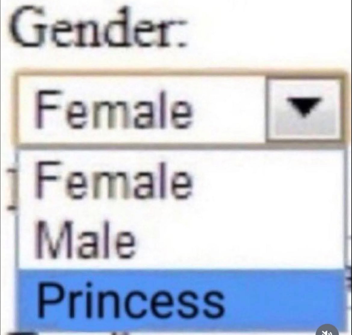 Respectful Memes (@respectfulmemes) on Twitter photo 