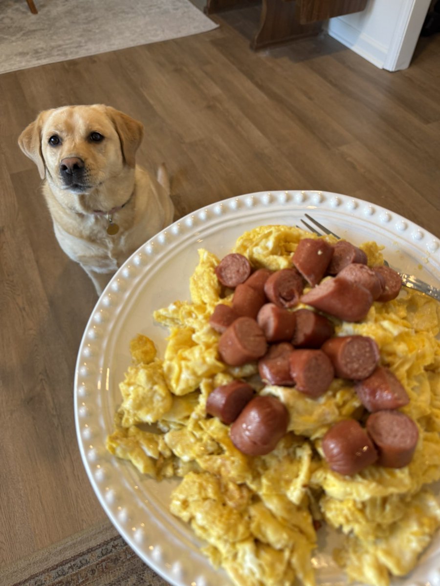 EricCarnivoreRN tweet media