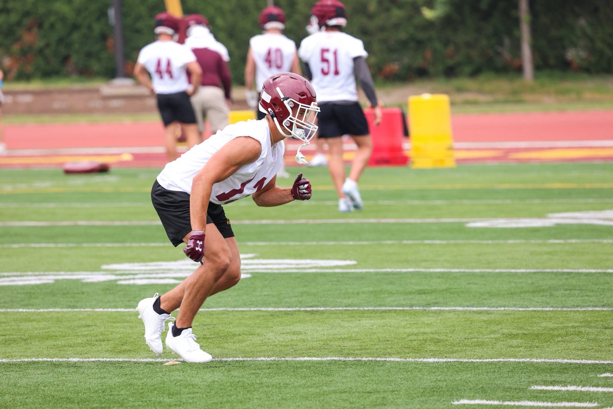 ⛺️’n day 3️⃣ #GoDogs | #EarnIt