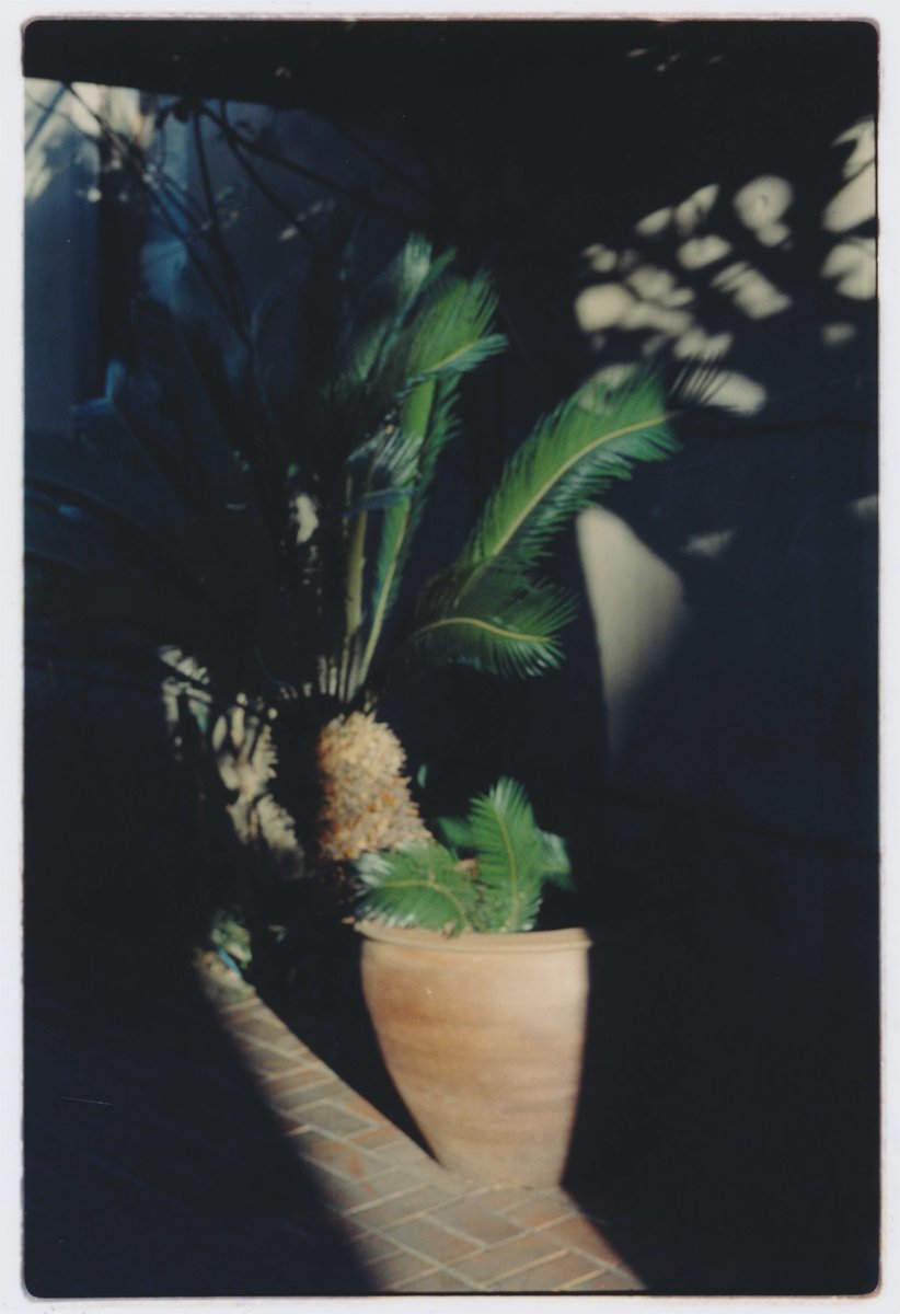 JUN_MTD's tweet photo. ZINEに収録した6枚目の写真について書きました。
あの池|Photo06 / THE WORLD SPINS HERE
✅ https://t.co/4DFGJSojnI
#note #zine #leica #tokyo #pbfilm #rainroots https://t.co/8Pb421xmAX