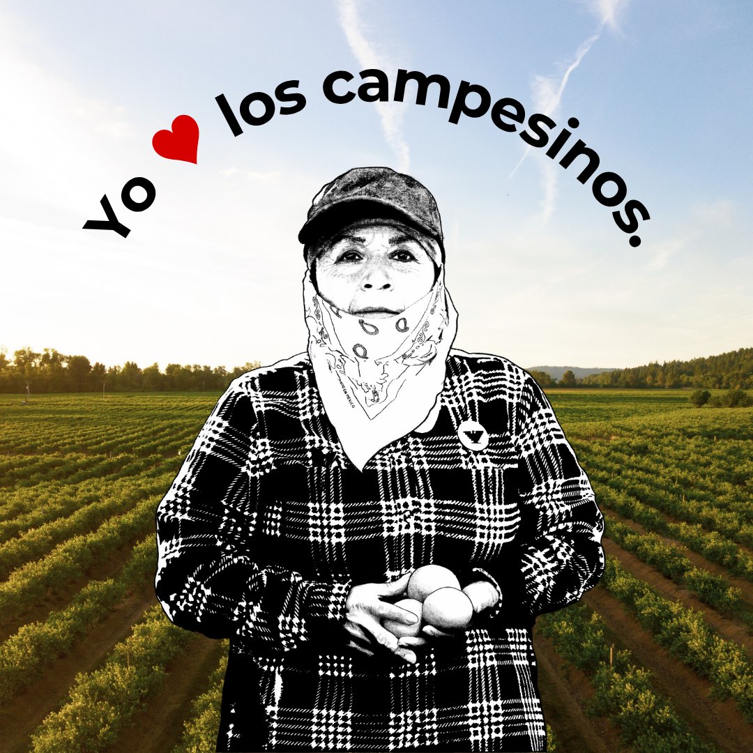 Today is Farm Worker Appreciation Day! Let's take a moment to acknowledge the incredible impact farm workers have on our society. They toil tirelessly under the sun, nurturing and harvesting the crops that sustain us all.