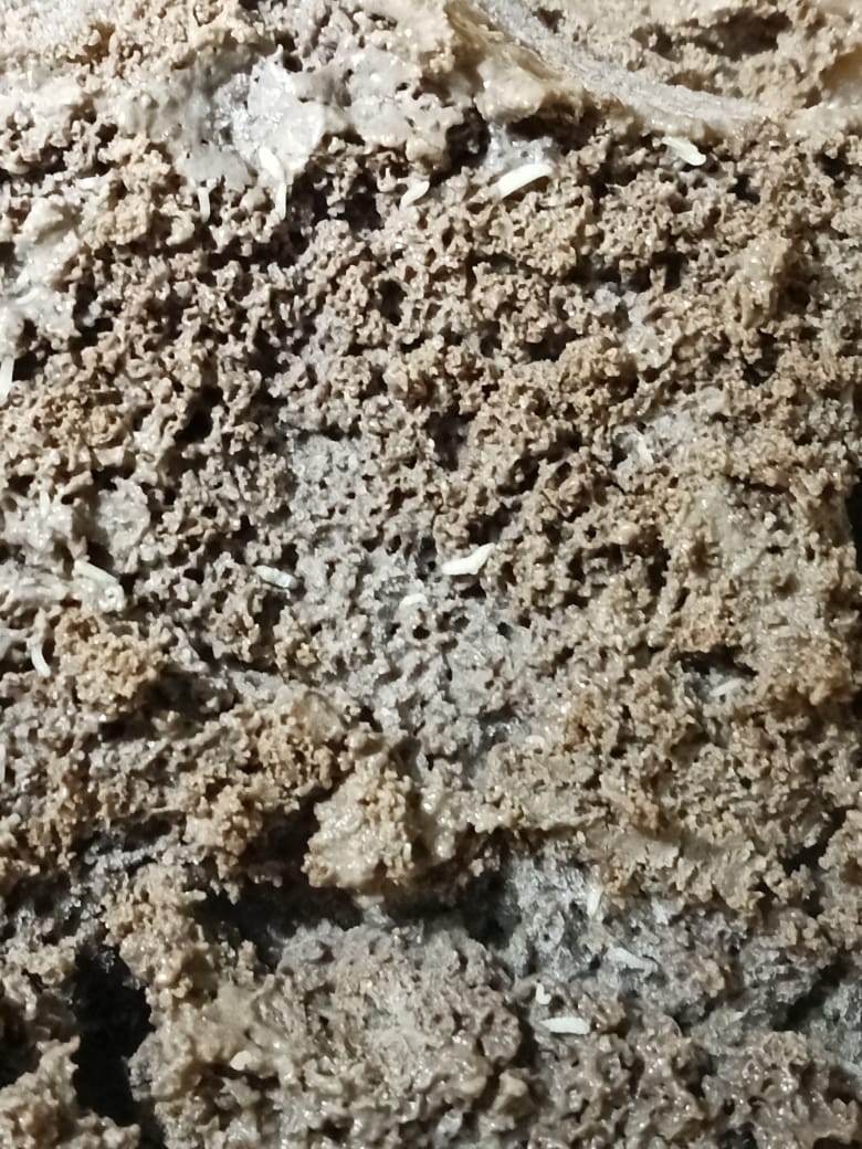 jayeshbharsat72's tweet image. BigBasket ne Amul bheja — ice cream nahi, keede ka dabba. Bhookh lagi thi, ab ulti ho rahi hai. Isi liye X install kiya — kyunki inki complaint system dead body jaisi silent hai. @Amul_Coop
@bigbasket_com
Justification ?

#BigBasket #FoodPoisoning #InsectsInFood 
@fssaiindia