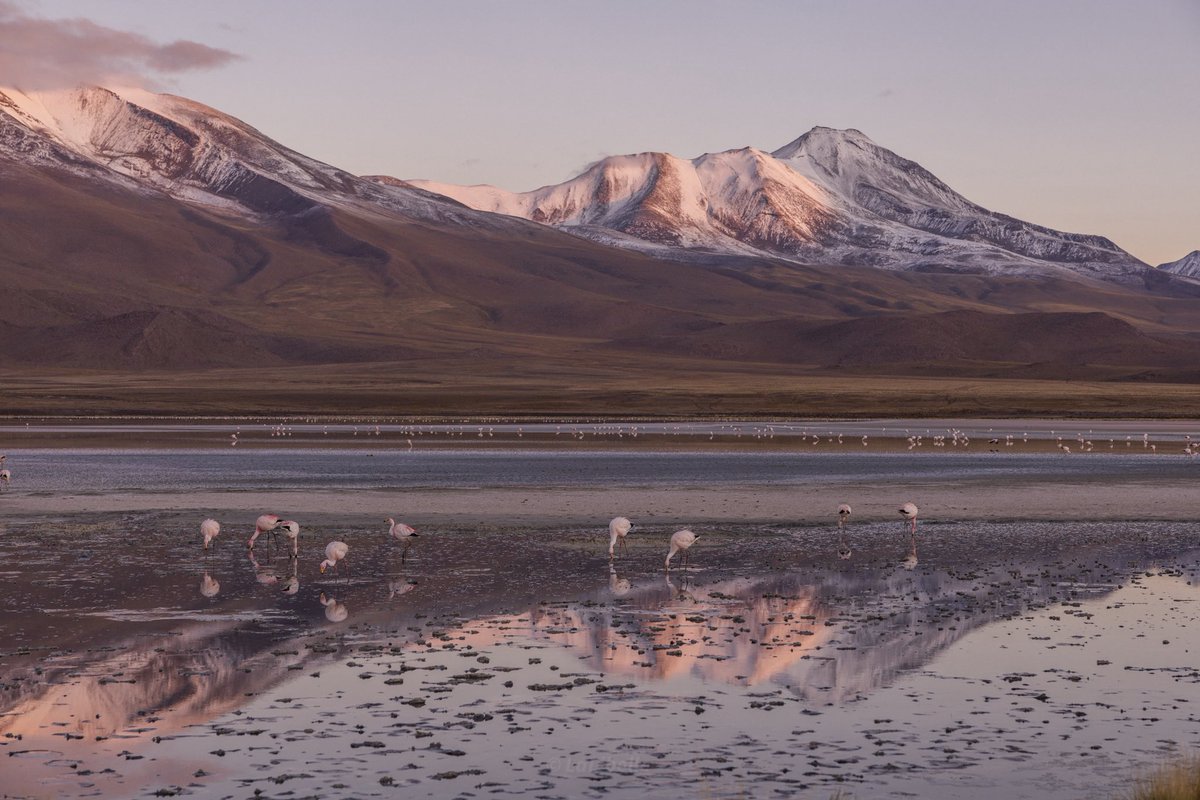 De este a oeste y de norte a sur 🤍🇧🇴 que dicha seguir descubriendo rincones mágicos. 

Que vengan mejores tiempos para  Bolivia.
