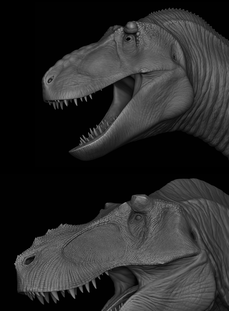 Dr Matt Dempsey tweet media