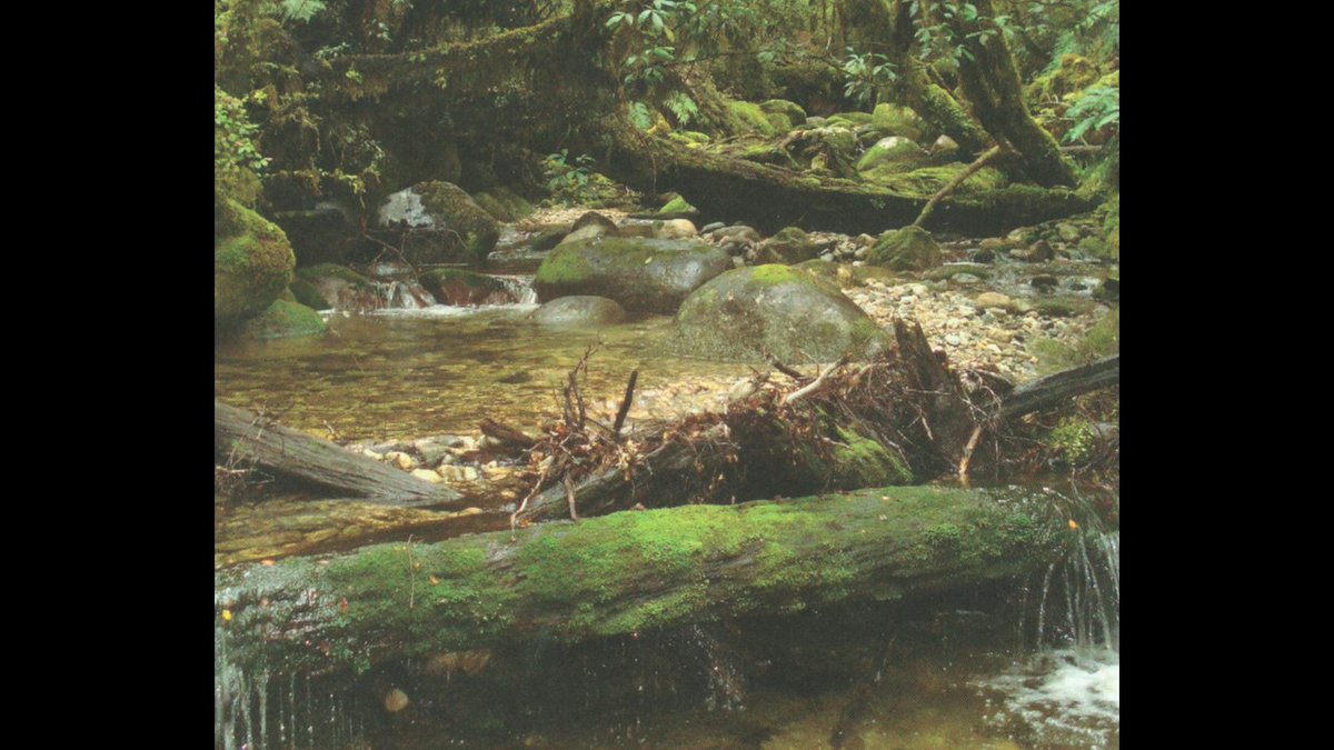 Jon S. Harding tweet media