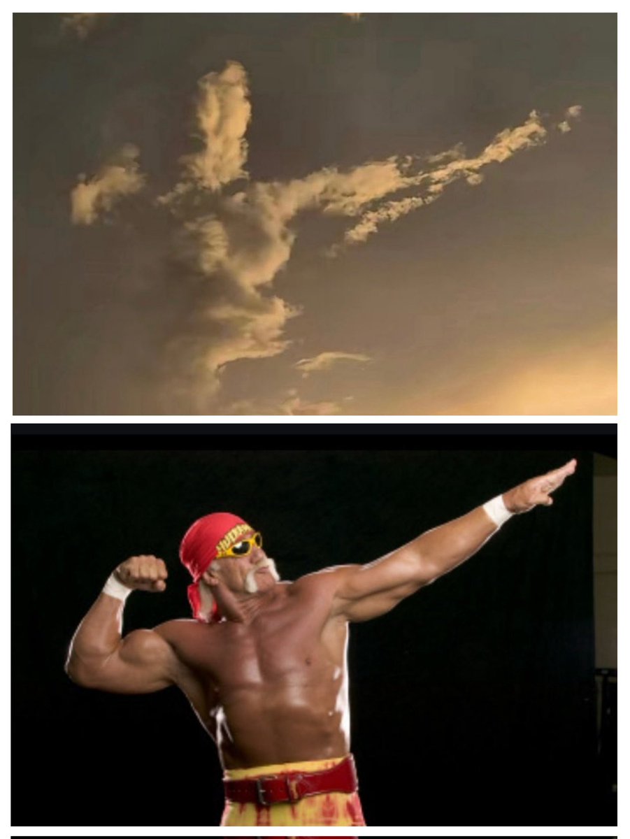 Bite-Sized Nostalgia tweet media