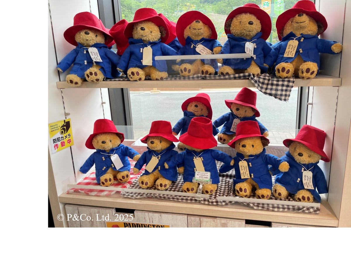 パディントン　ぬいぐるみ パディントン(TM) ぬいぐるみマスコット｜むにゅぐるみパティオ
