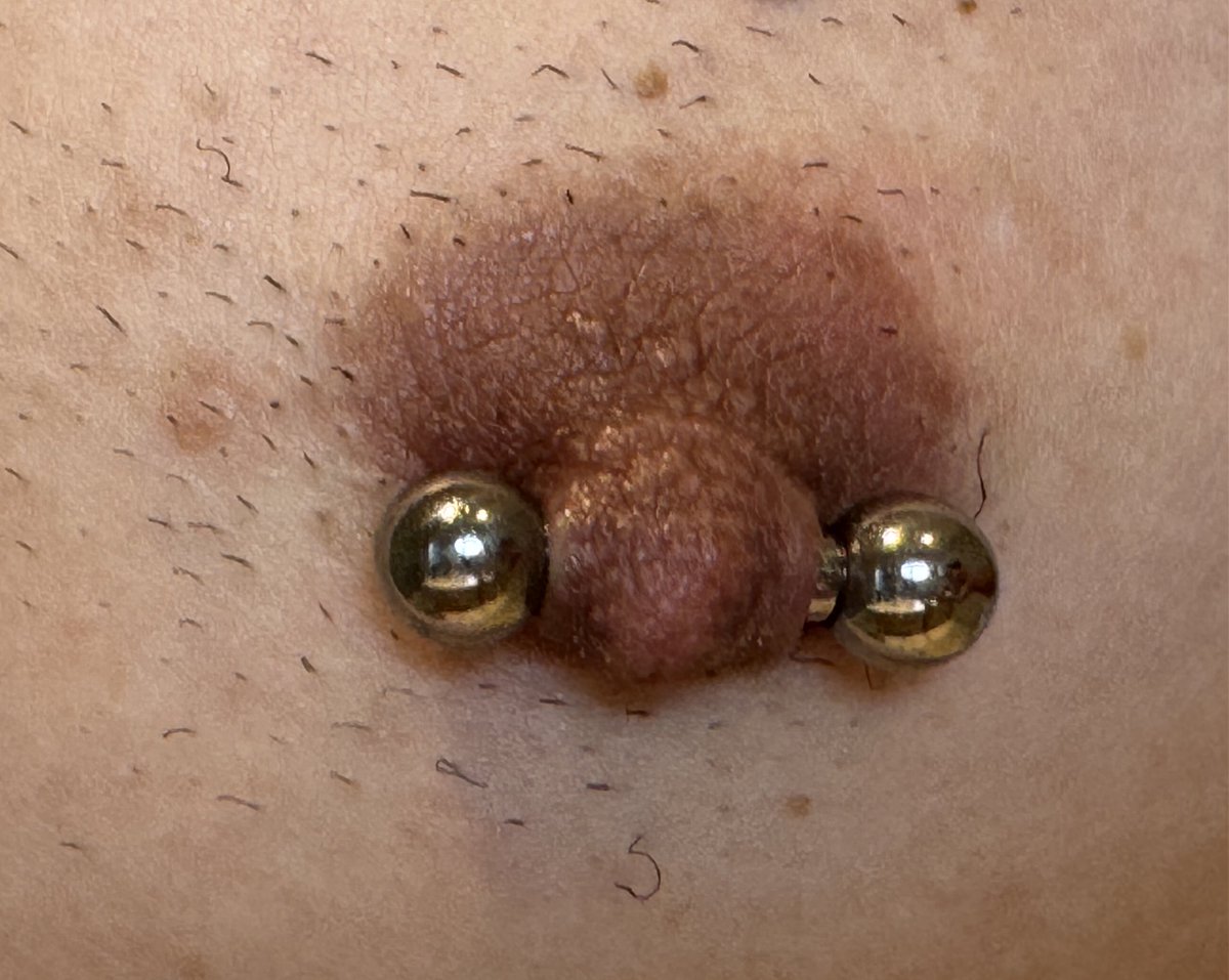 TPierced's tweet photo. 5月の末に6Gにアップしたニップル、腫れも引いてやっと落ち着いた感じになりました。
バーベルだとゲージが太いのが目立たないから、やっぱり、リングが良いかな？ https://t.co/Ux1PXKhbku