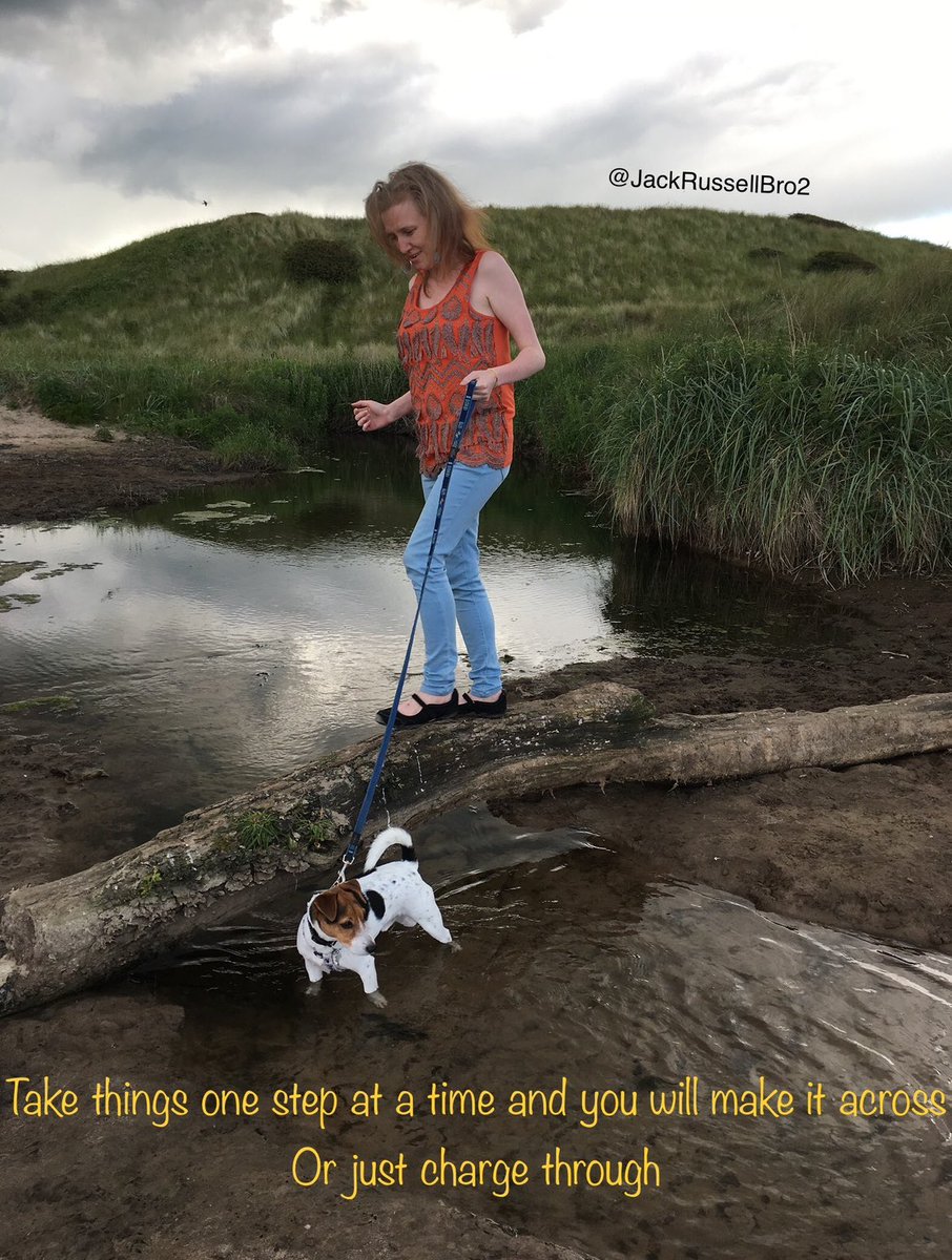 Reminder friendses that no matter what happening in life you will make it. One step at a time. 

Or if you is me then just charge through it 🤭

Nite friendses, loves yous 🐶💙