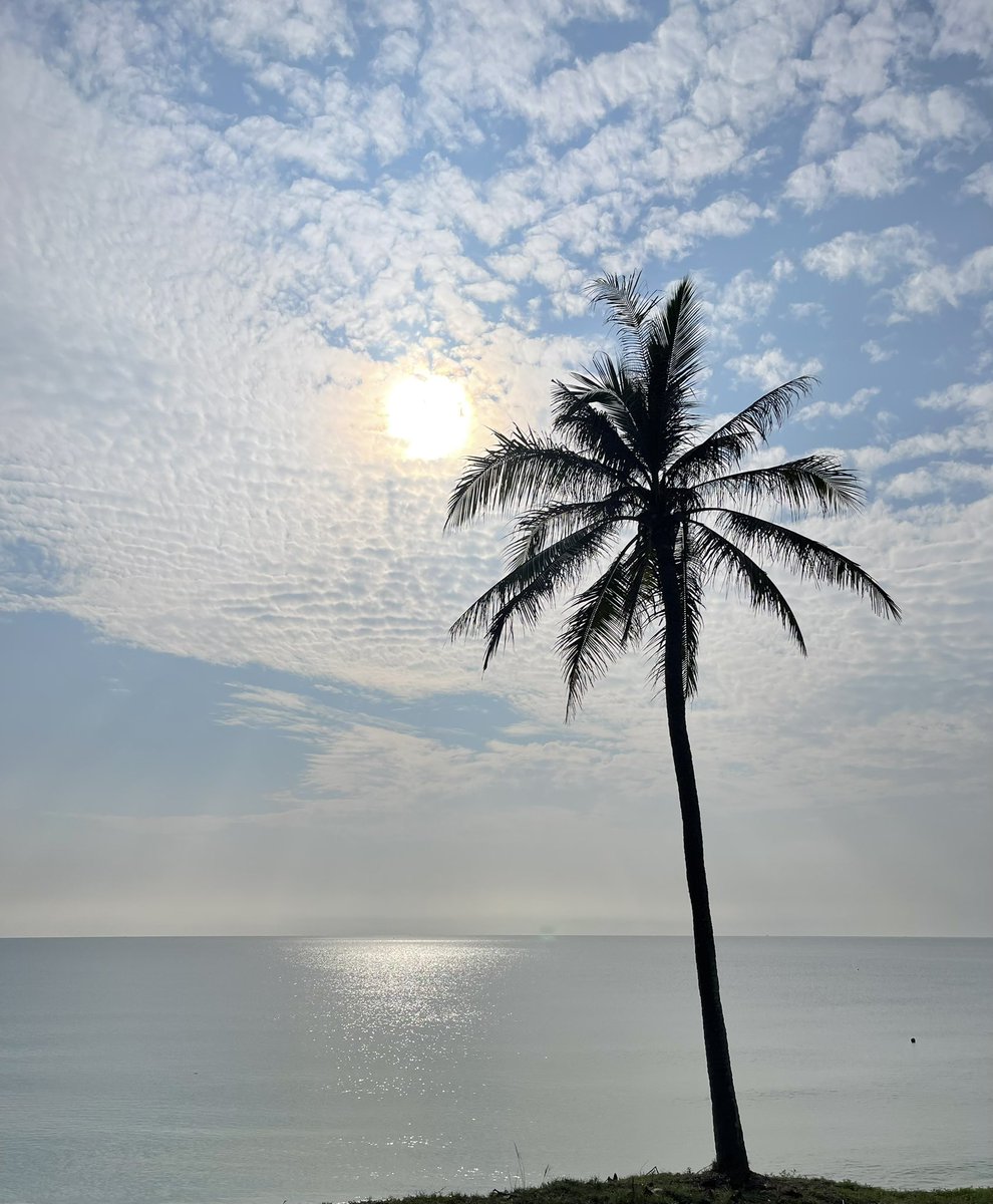 ว่าไง! ตื่นหรือยัง😋#ธรรมชาติบําบัด #ทะเล #ทำงาน #ปัตตานี #นราธิวาส #ยะลา #หาดใหญ่ #สงขลา #ง่วง