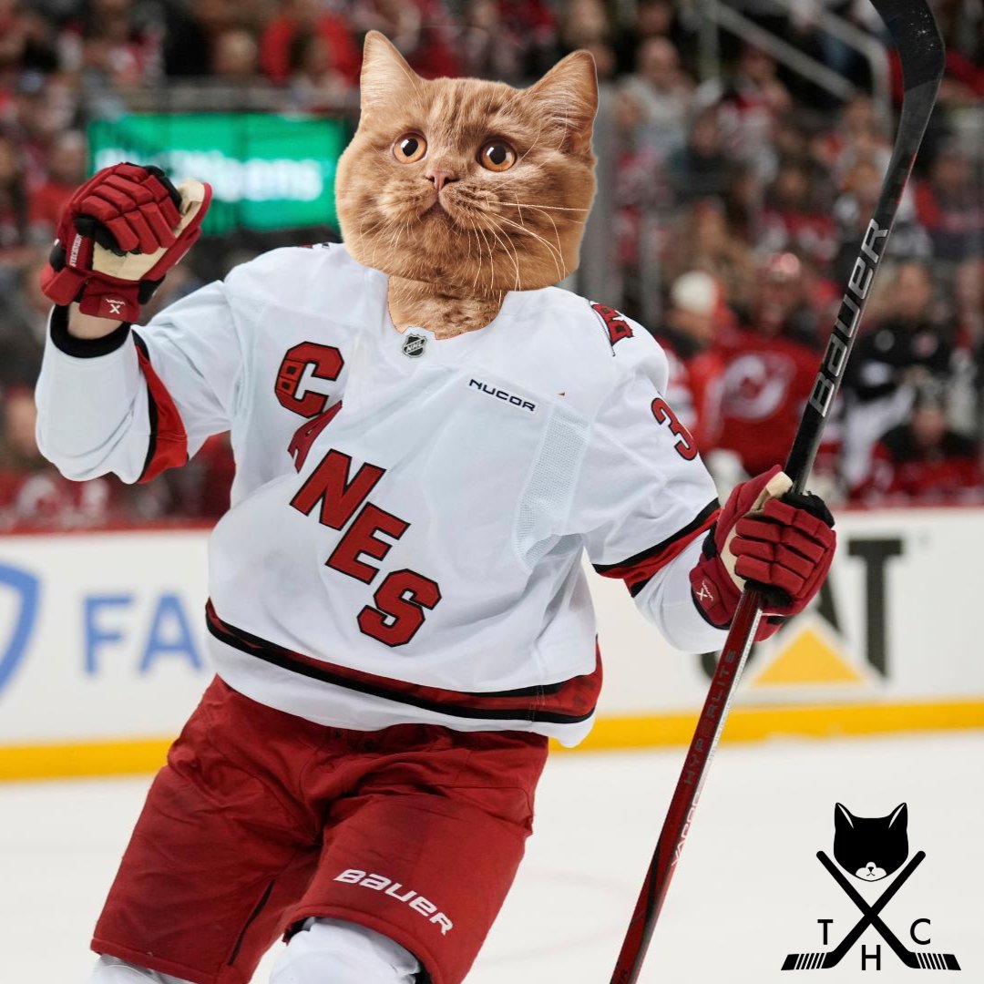 The Hockey Cats tweet media