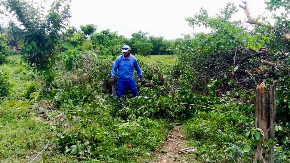 📌 Nuestros trabajadores👷‍♂️ en Guantánamo laboran desde ayer en la recuperación de los servicios de telecomunicaciones 📶🛜 dañados por una tormenta local severa que afectó la ciudad cabecera.
#EtecsaConCuba 🇨🇺
