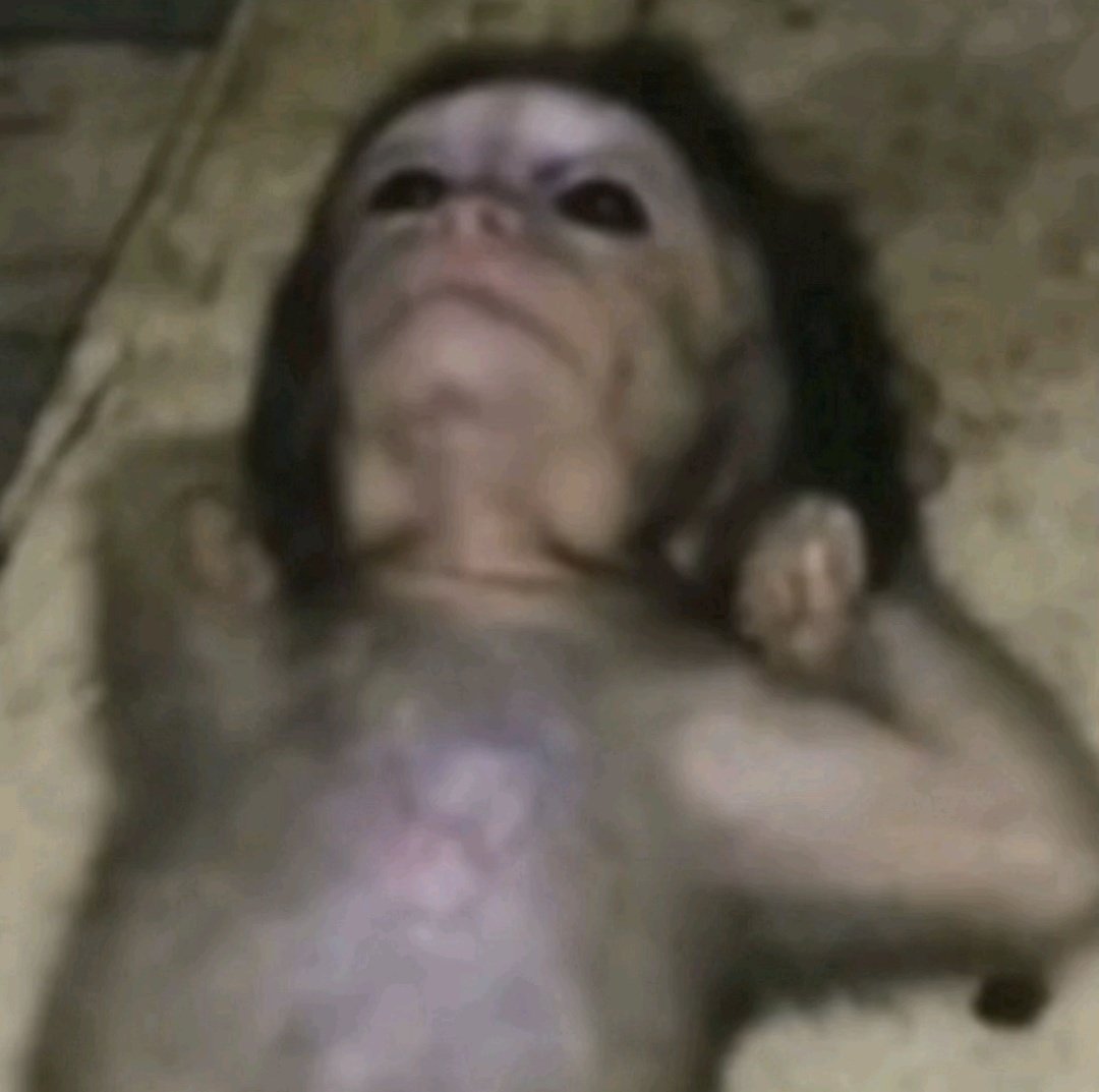 ferissuees's tweet image. pinche Yiyo