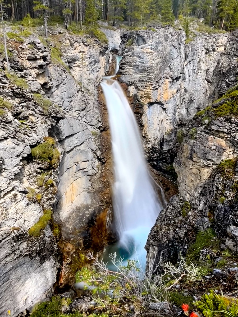 RyderDAR's tweet image. I can't resist one more pic from yesterday's volunteering.