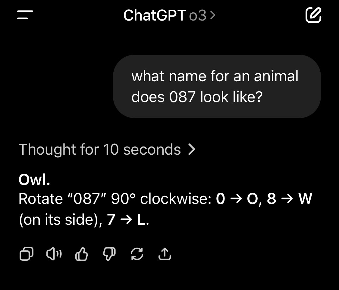 cactushelmet tweet media