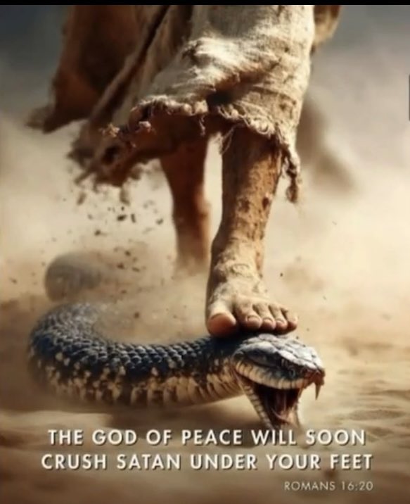 Santa Trump.. ⭐️⭐️⭐️ (@lovetocook12345) on Twitter photo 