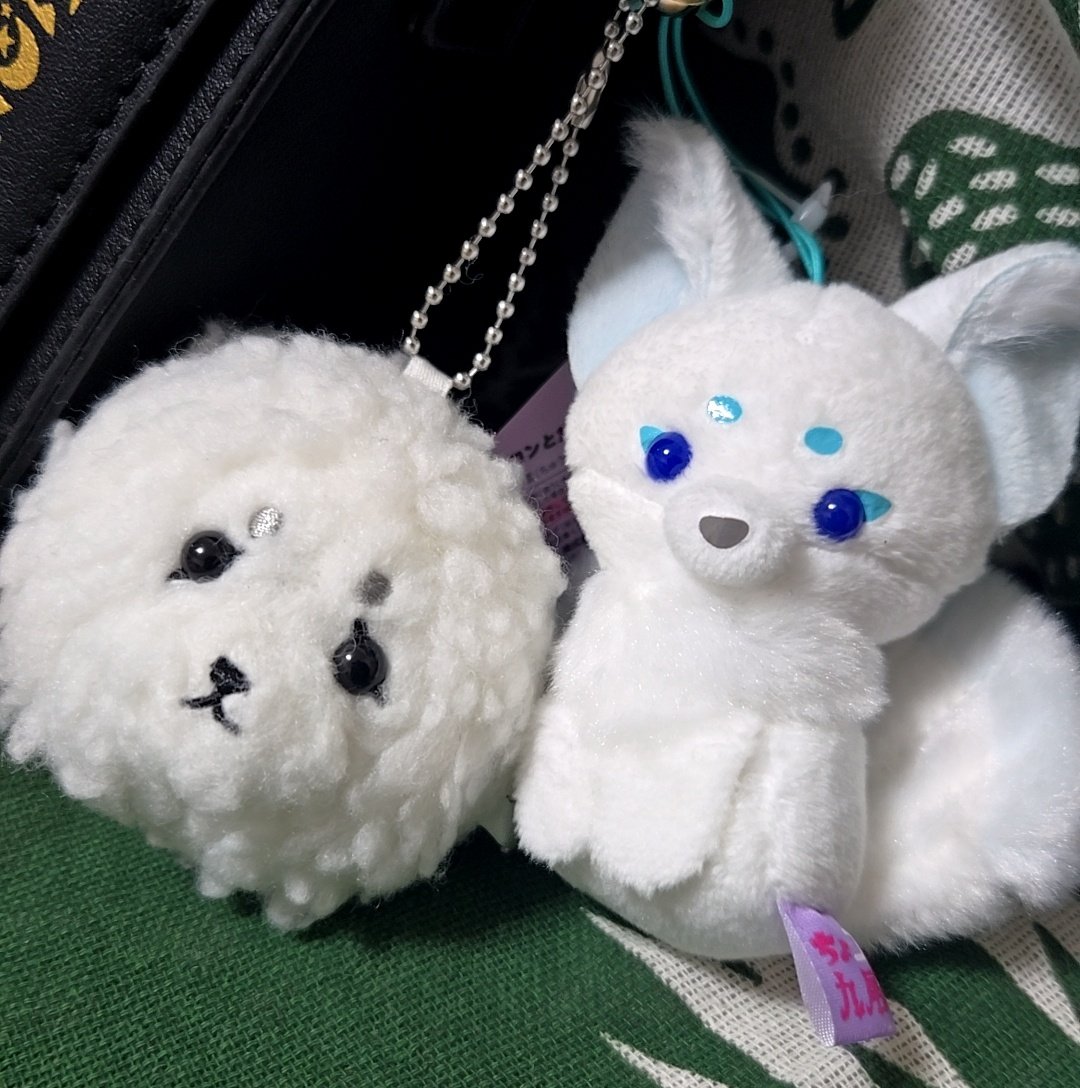 Rer🥀💙🐱@ (@rern_00) on Twitter photo お久しぶりです
高校生活ラストの夏休みに、風邪ひいて若干熱中症......やばばな夏休みになっております( ´ᵕ` ;)💦
みんな気を付けてね( ´ᵕ` ;)💦
右はゲーセンで取ったキツネちゃん
左はガチャで回したアザラシちゃん お久しぶりです
高校生活ラストの夏休みに、風邪ひいて若干熱中症......やばばな夏休みになっております( ´ᵕ` ;)💦
みんな気を付けてね( ´ᵕ` ;)💦
右はゲーセンで取ったキツネちゃん
左はガチャで回したアザラシちゃん