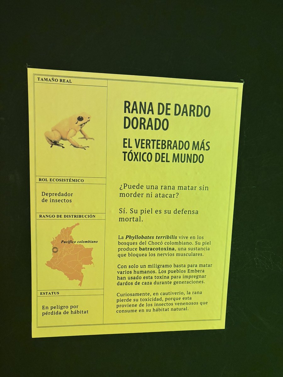 María Alejandra Vélez tweet media