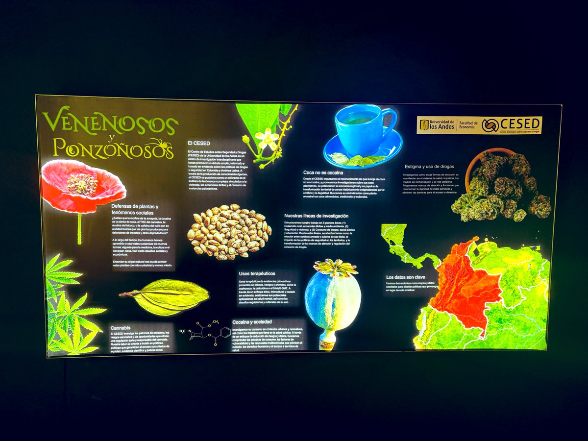 María Alejandra Vélez tweet media