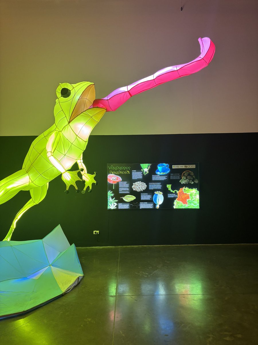 María Alejandra Vélez tweet media