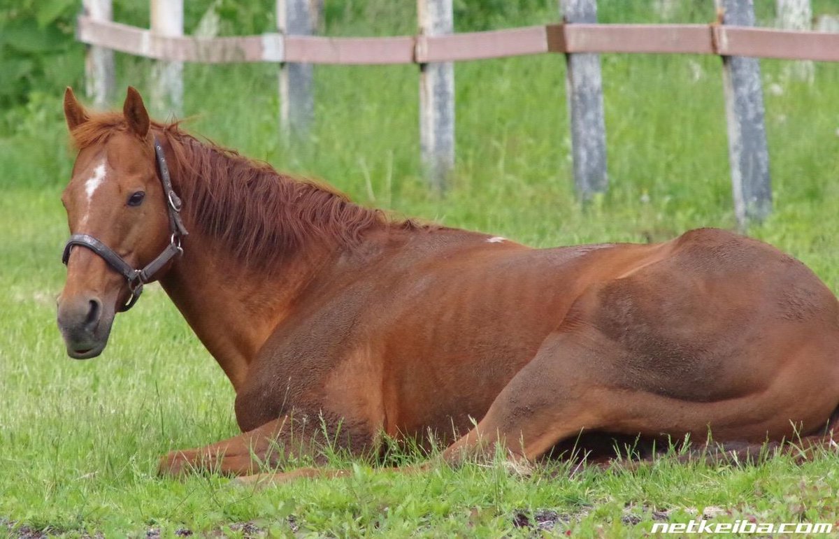 lowkey gave up on drawing im a t.m. opera o fan account now