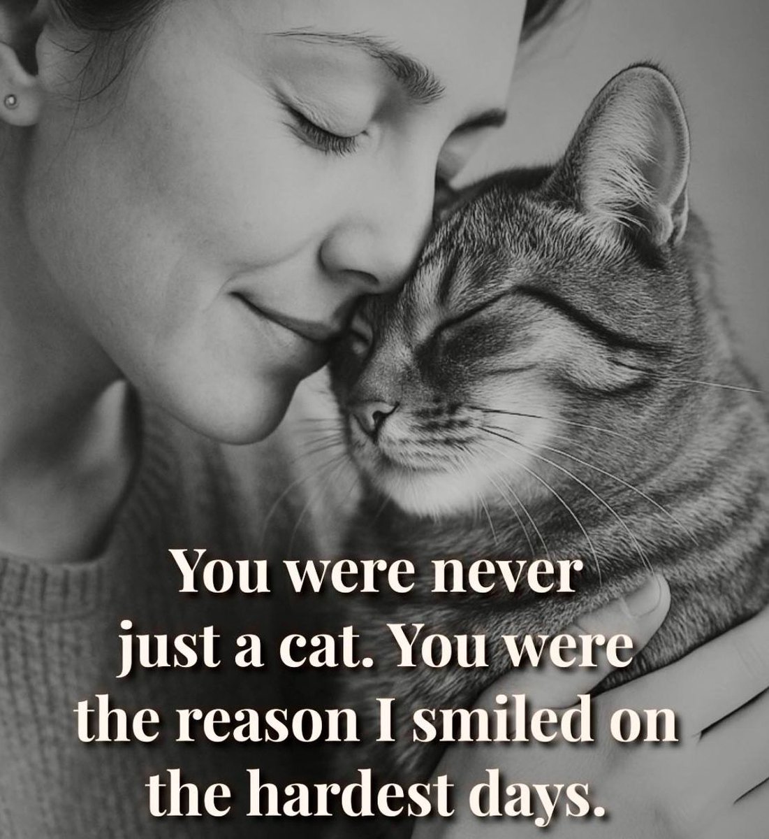 Cats and Kittens (@catsnkittys) on Twitter photo 