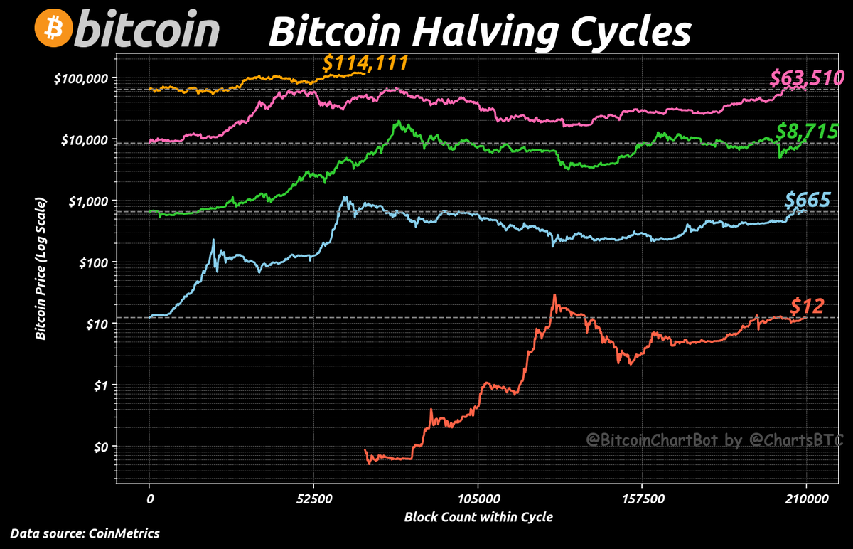 #Bitcoin Halving Cycles
#HalvingCycles $BTC #BitcoinChartBot