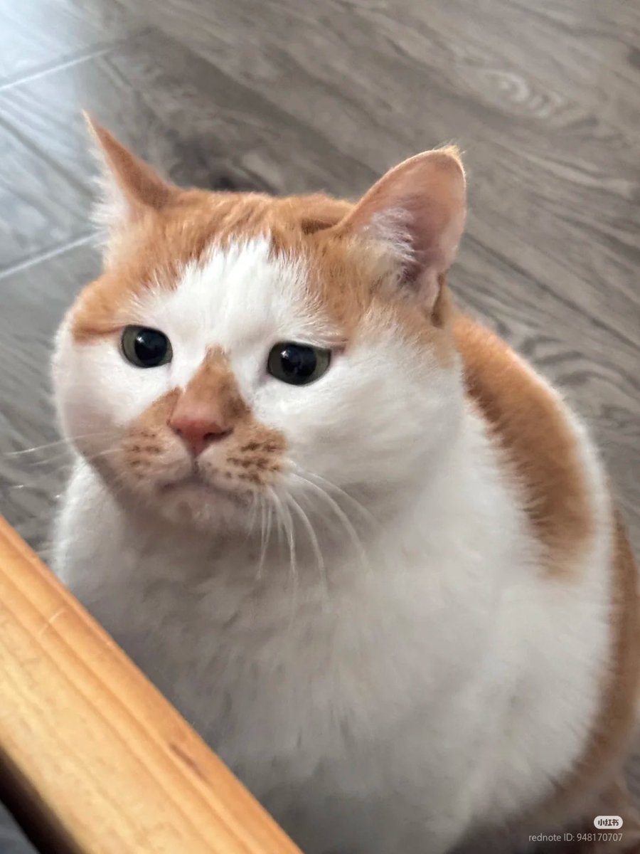 Suhyun tweet media