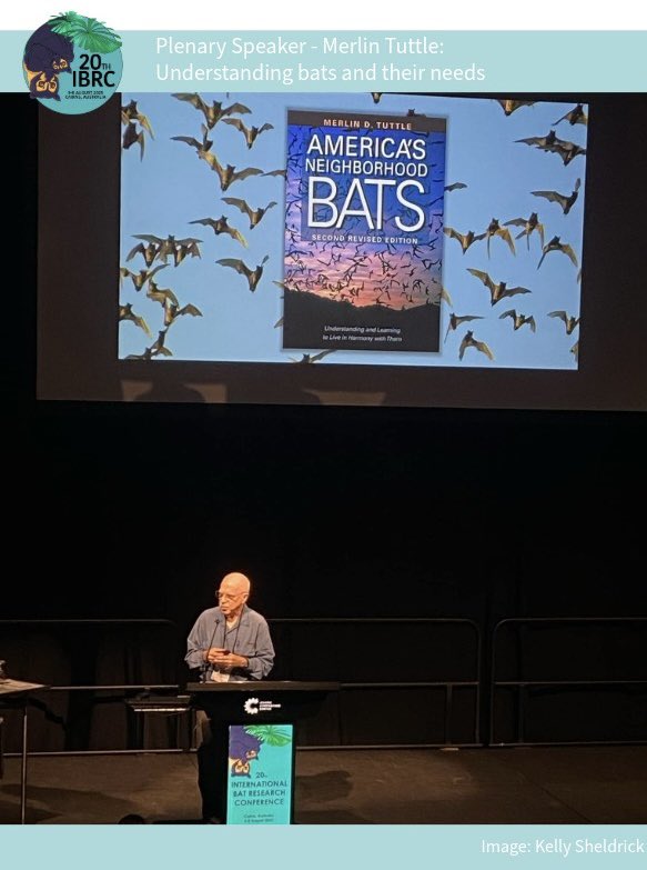 IBRC2025 tweet media