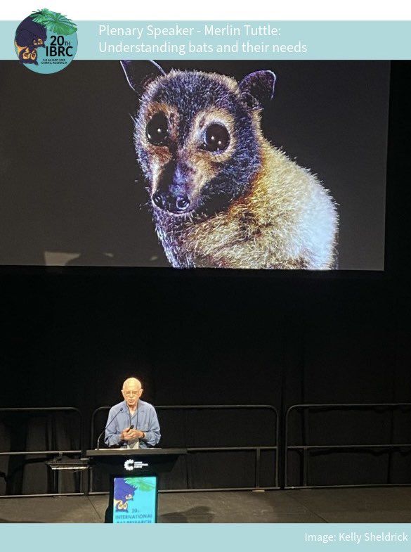 IBRC2025 tweet media