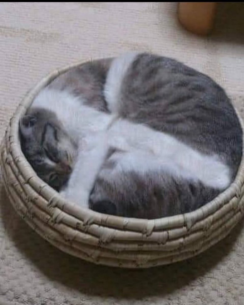 かわええ💕