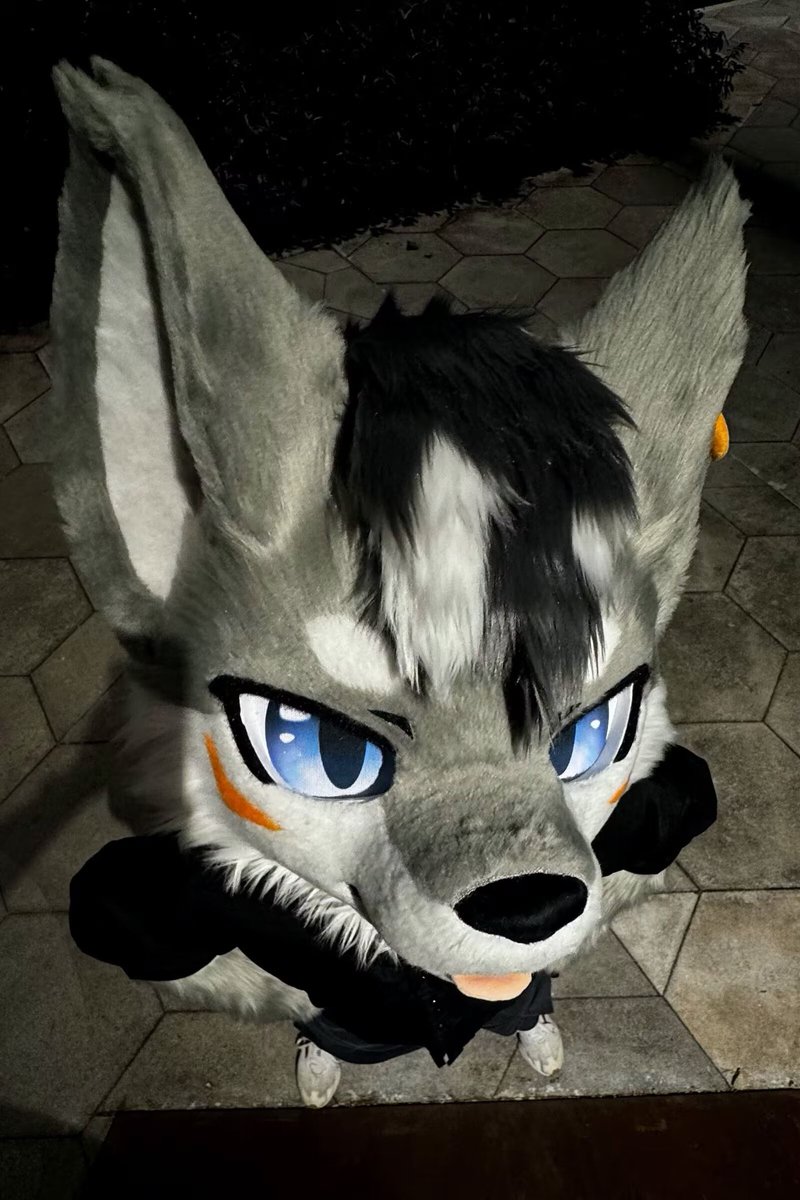 What are you looking at~
Me?