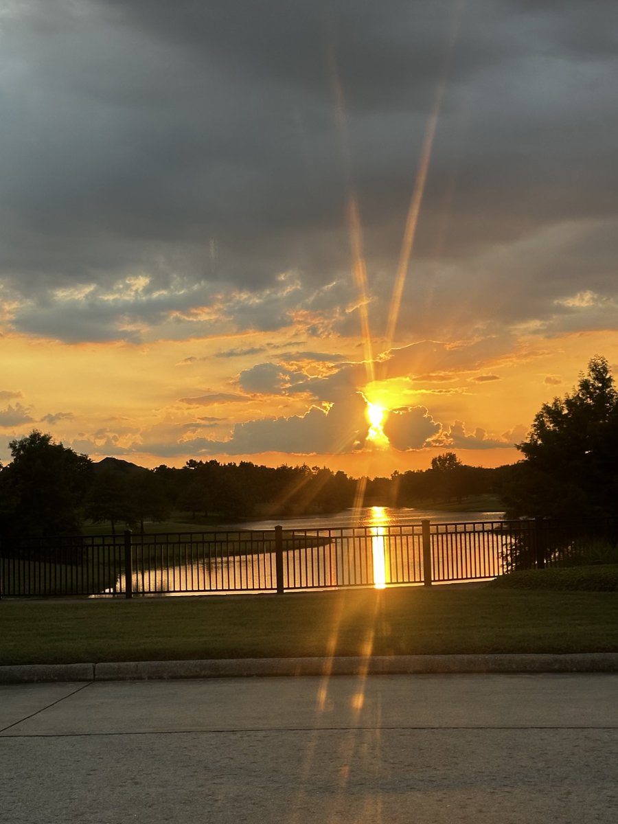 Bridgeland is a pretty cool place to live.