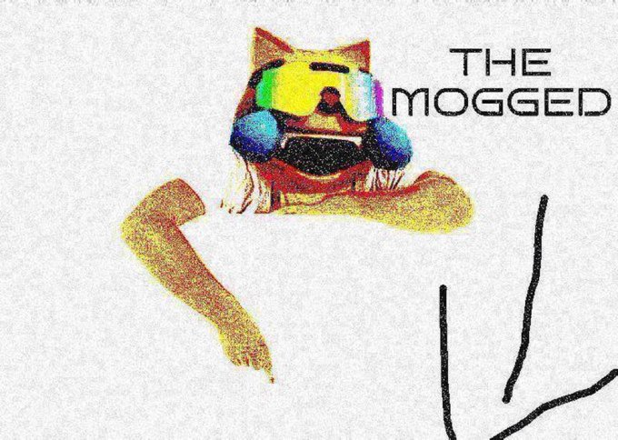 moggeroni tweet media