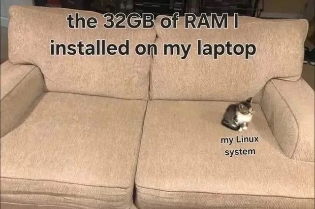 GordoGPT 🏴‍☠️ (@gordodeinternet) on Twitter photo 