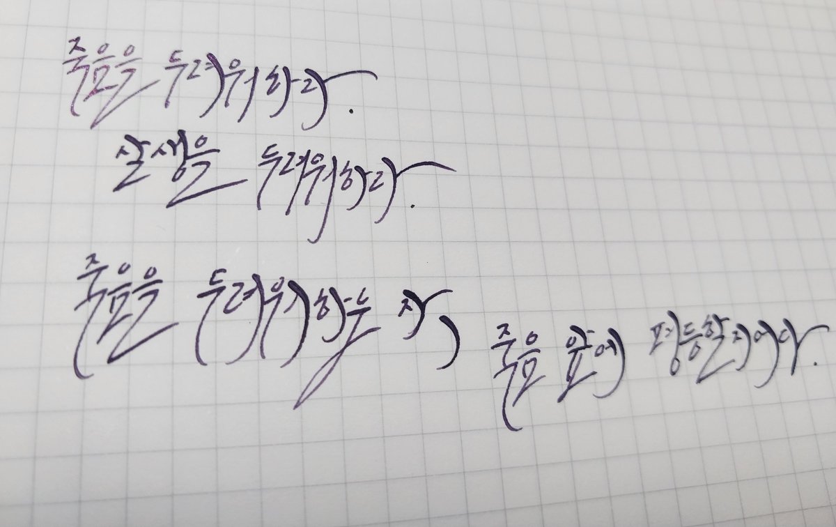 저는 아쿠도 좋아해요