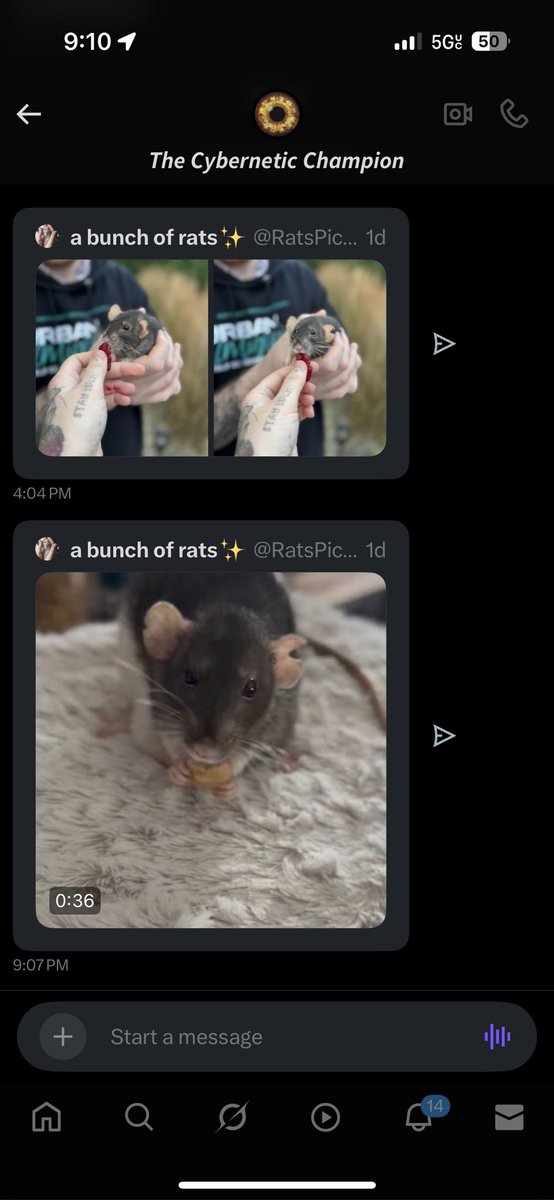 offlyingcrows's tweet image. Ghost.⠀

When @Perfxct_Sxn knows you like rats/had a rat so sometimes you just get messages like these 🥹