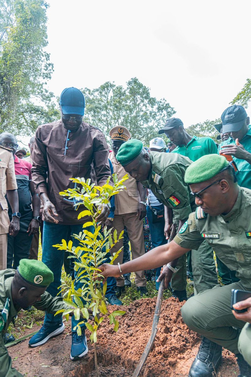 Pr Daouda Ngom tweet media