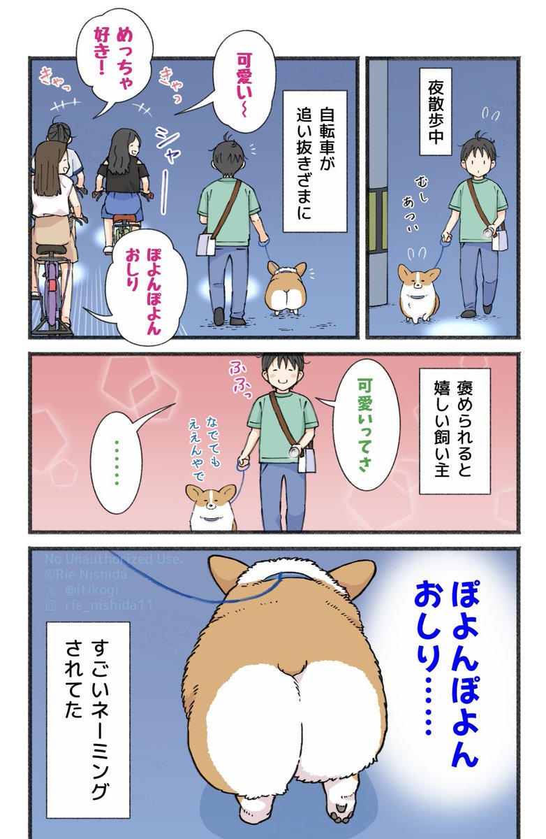 ぽむ (@pomu_pome3) / X