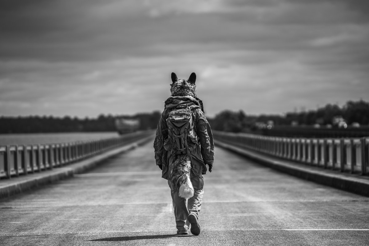 Be on your way.

📷 <a href="/CrownedFeline/">Lazuli</a>