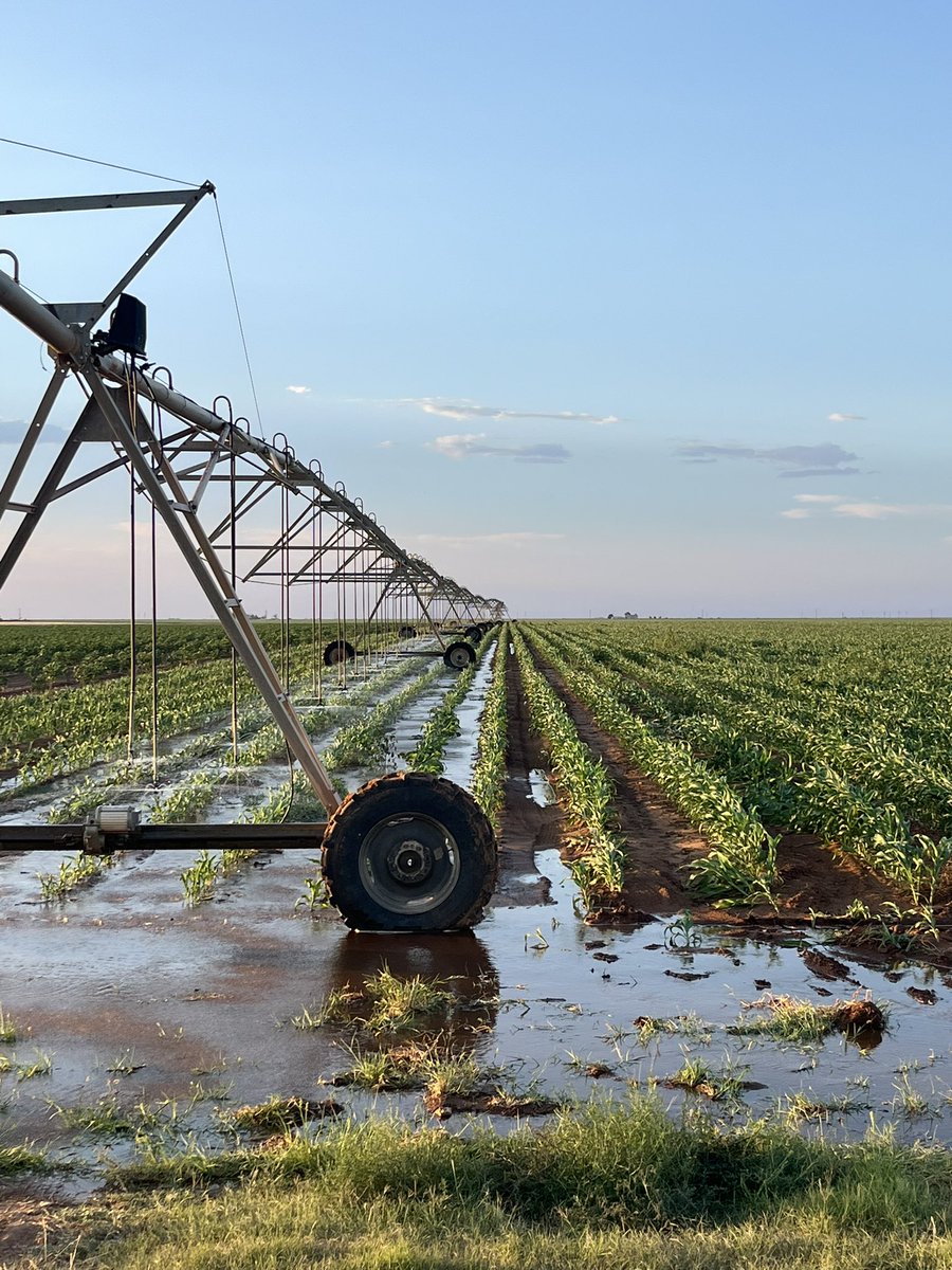 Scott Fred 🌵 tweet media