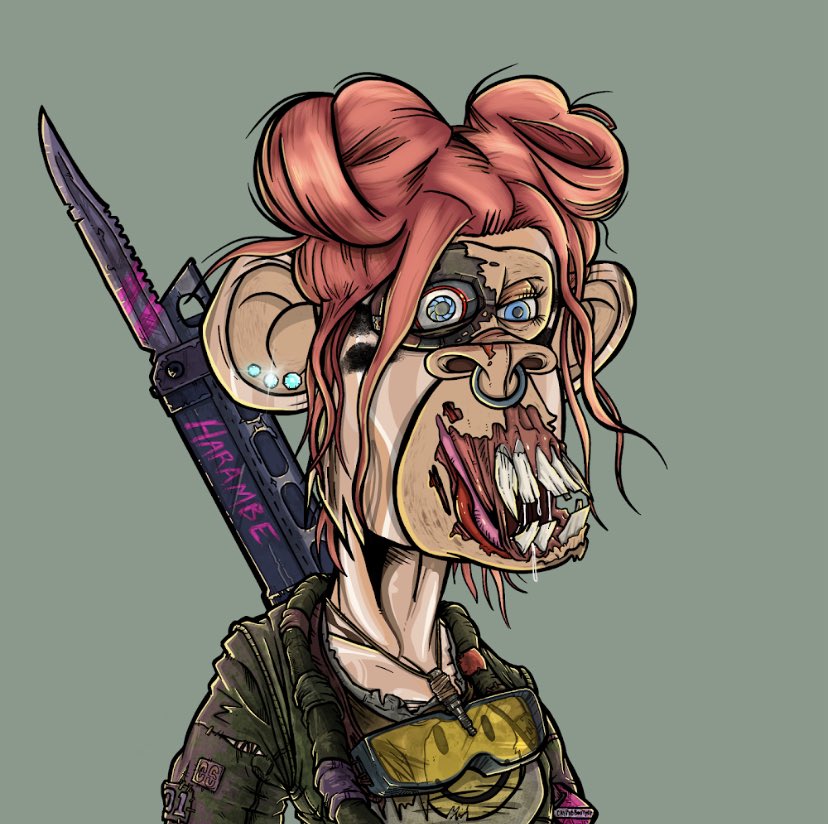 DillardDawg tweet media