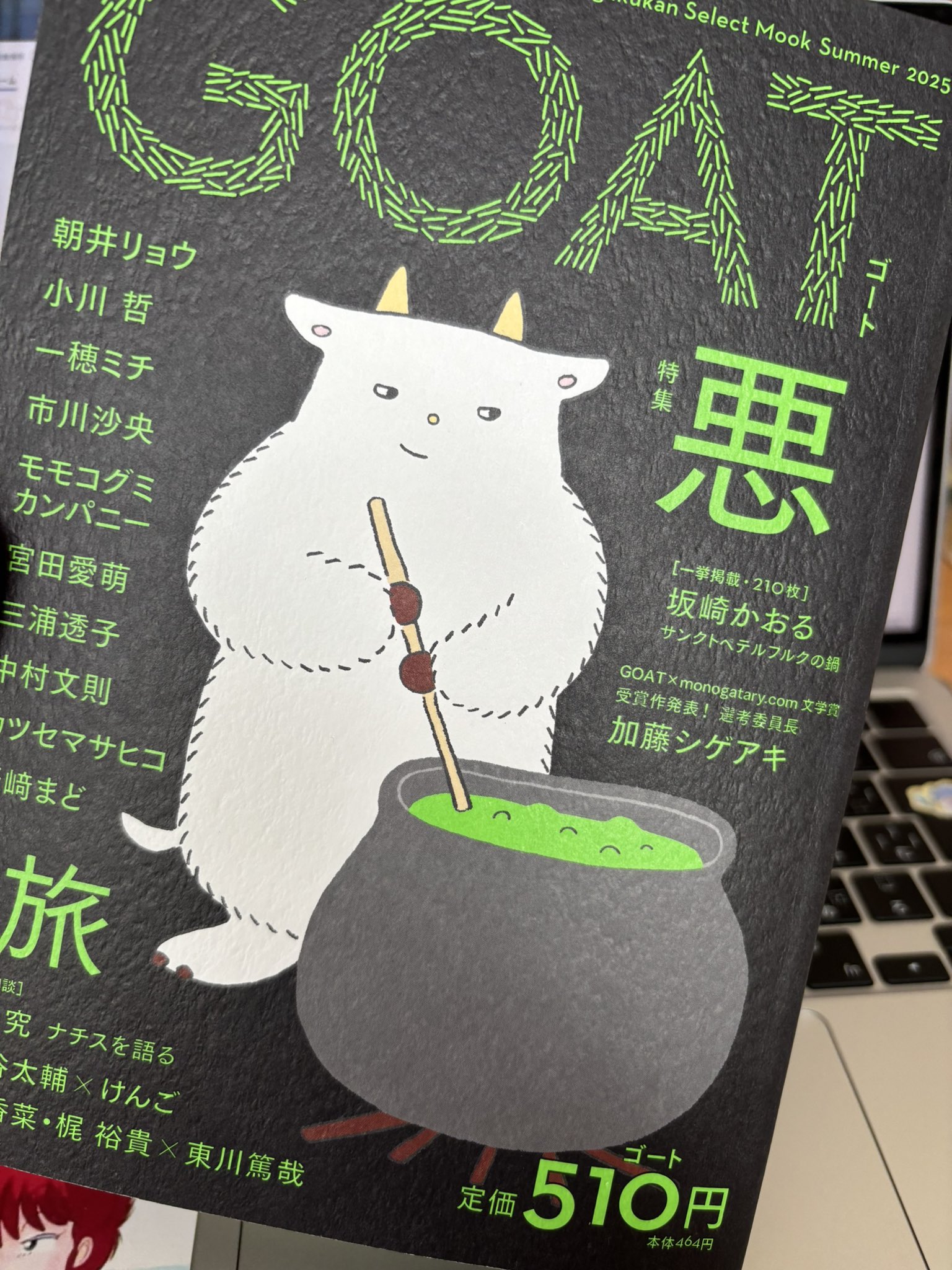 【バラ売り販売】コメントお待ちしてます ❇︎ #多肉植物 あぁ〜あ。 こんなんで永遠に増えていく