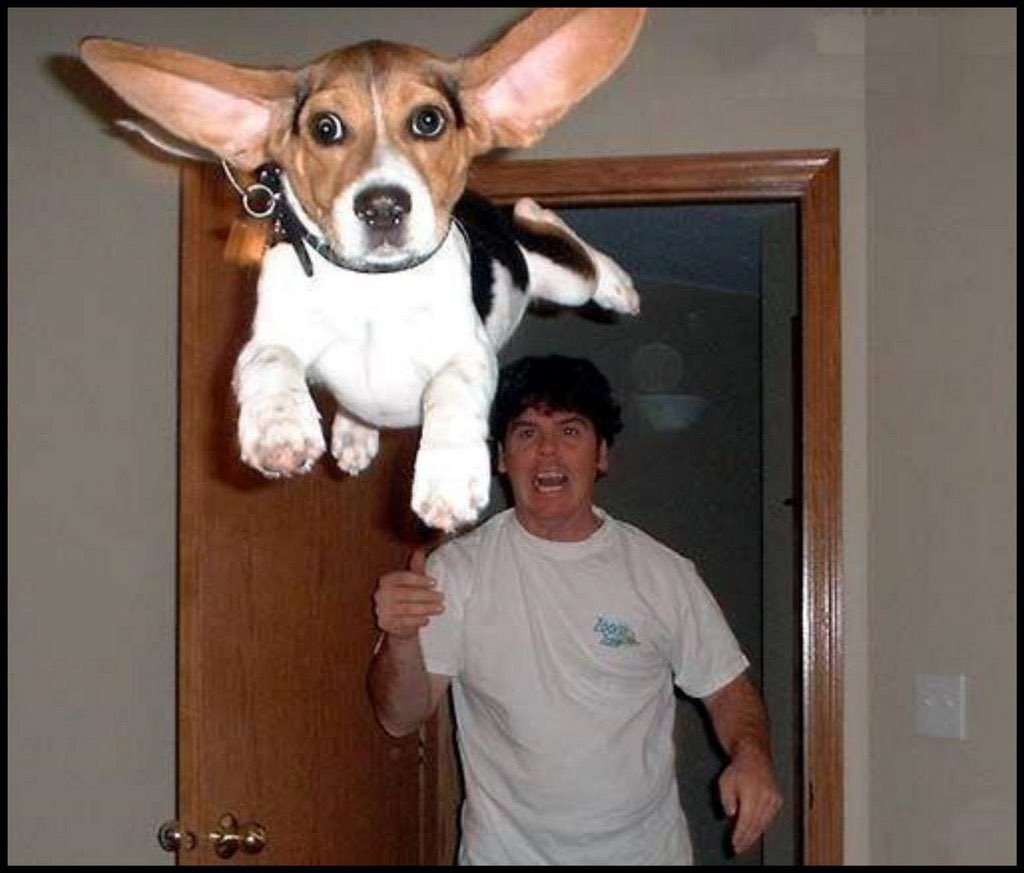 brody king and bandido