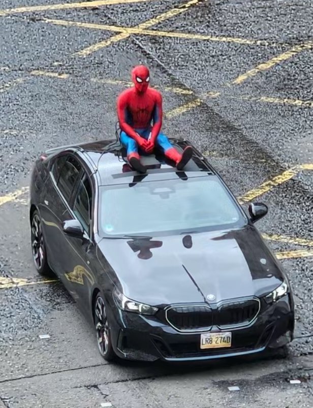 진짜 개귀엽네 내차였으면 좋겠다