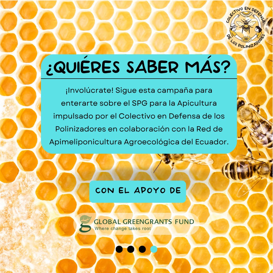 🐝 En nuestro primer taller para construir un #SPG de Apicultura, apicultores de todo el país consensuaron criterios y componentes de una Ficha de Diagnóstico para valorar la apicultura ecológica.

¡Así nace #MielQueCuida! 🌱
📖: bit.ly/4m7MmIO
#AbejaYoTeElijo