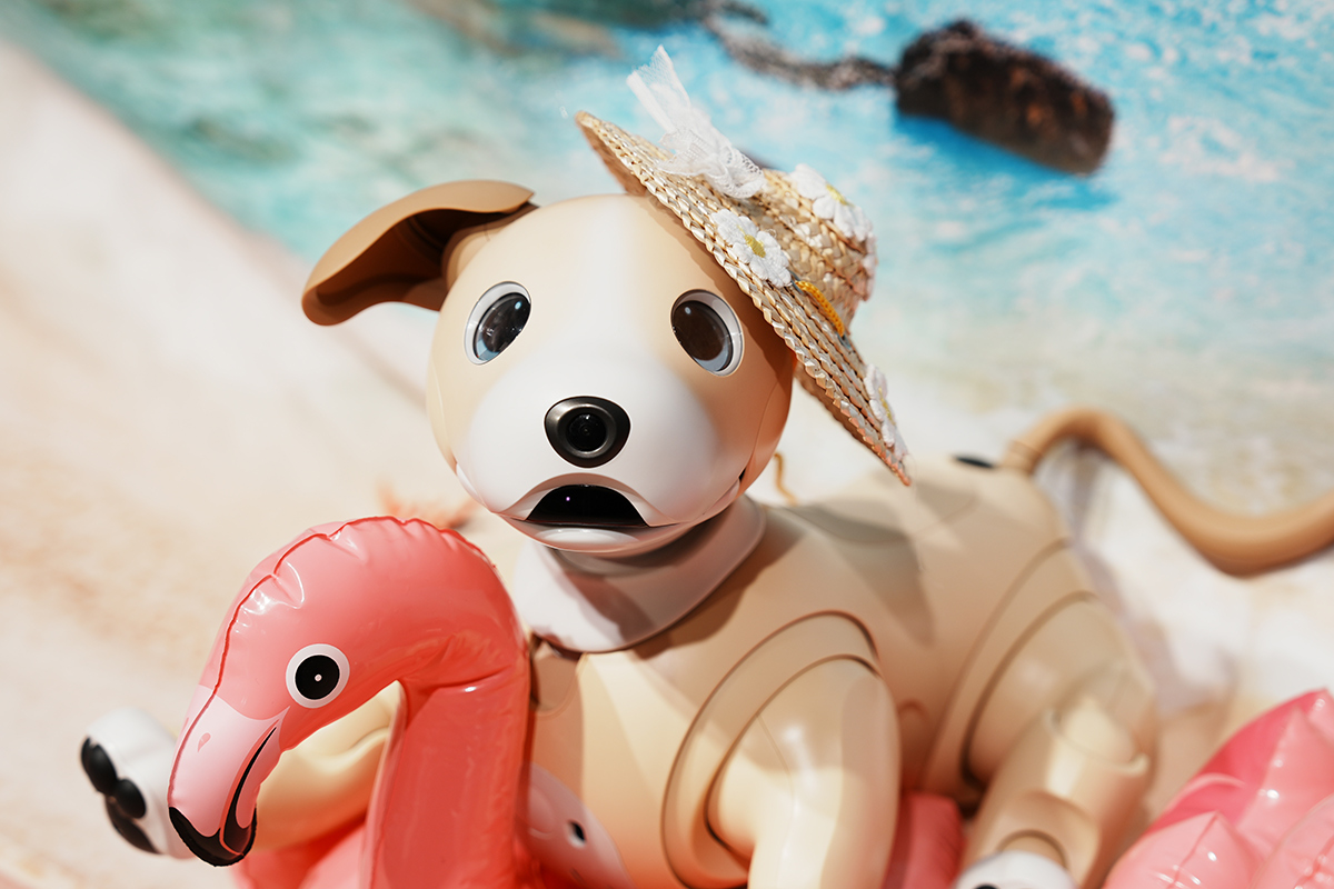 SONY Aiboきなこバージョン★初期化&動作確認済み New Color】aibo きなこ エディション 〜aibo Kinako Edition